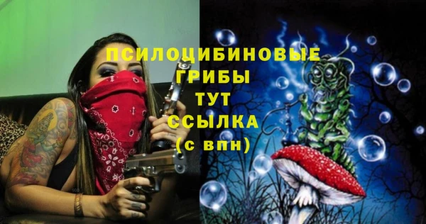 кокаин перу Михайлов