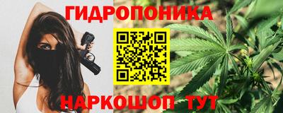 spice Аргун