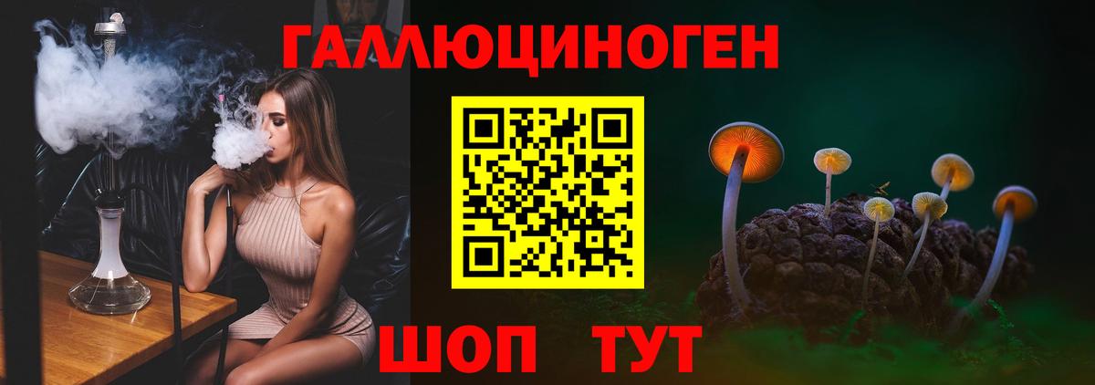 Всеволожск  Псилоцибиновые грибы ЛСД  Вход с VPN 